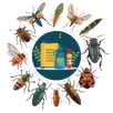 General Pest Control Dromana General Pest Control Dromana
