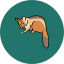 Possum Removal Dromana Possum Removal Dromana